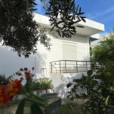 Anxhi Apartment คซามิล ภายนอก รูปภาพ